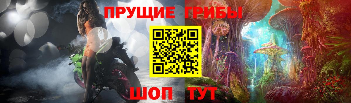 Псилоцибиновые грибы Psilocybe Уссурийск