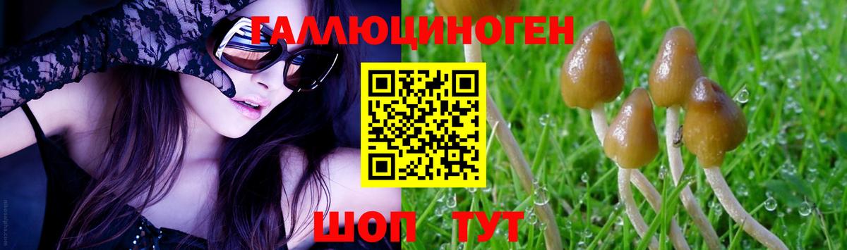 Галлюциногенные грибы MAGIC MUSHROOMS  Галлюциногенные грибы мицелий  Вход с VPN  Уссурийск 